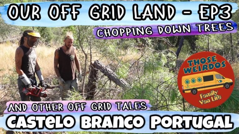 Our First Time Chopping Trees – Our Off Grid Land in Portugal – Our Homestead Ep3, Those Weirdos