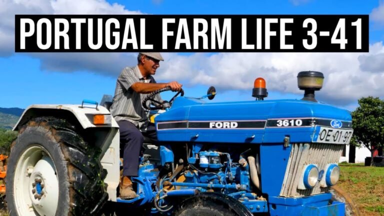 PCR Tests for Travel in Portugal | PORTUGAL FARM LIFE S3-E41 🚜🌞❤