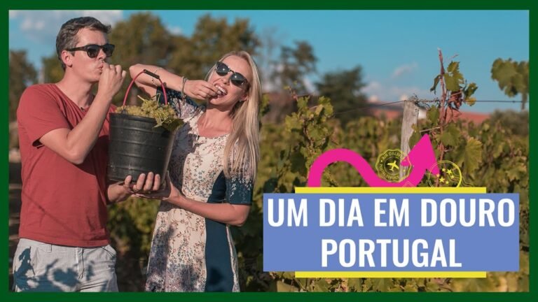 Portugal – DOURO – Passeios de Barco e Vinícola – Vlog Viagem