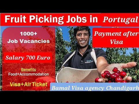 Portugal Work Visa for Indian   Portugal Schengen Visa for Indian , Fruit Packing Job in portugal