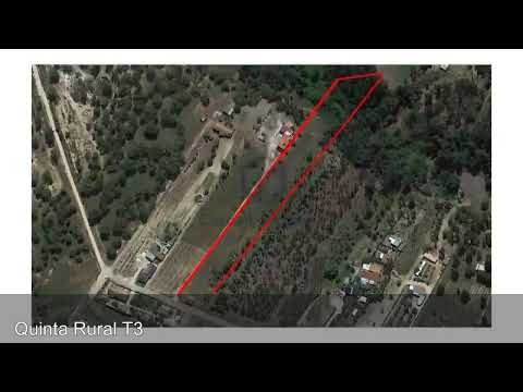 Terreno na Lezíria Ribatejana com 5360m2 e com casa T3 Terreno na Lezíria Ribatejana com 5360m2 e com casa T3