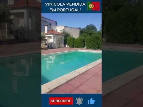 Videiras de Vinícola Vendida em Portugal #Shorts