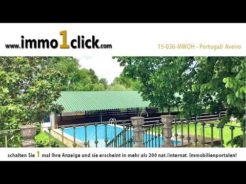 immo1click – Portugal, Aveiro, Equestrian property for sale, Reitimmobilie zu verkaufen