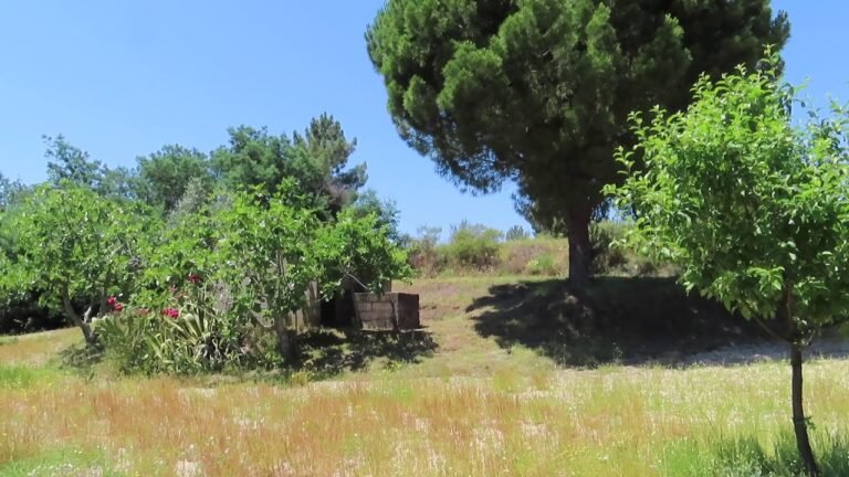 off grid Farm with 4,2ha in central south of Portugal / € 34.500 / centralportugalnatural@gmail.com