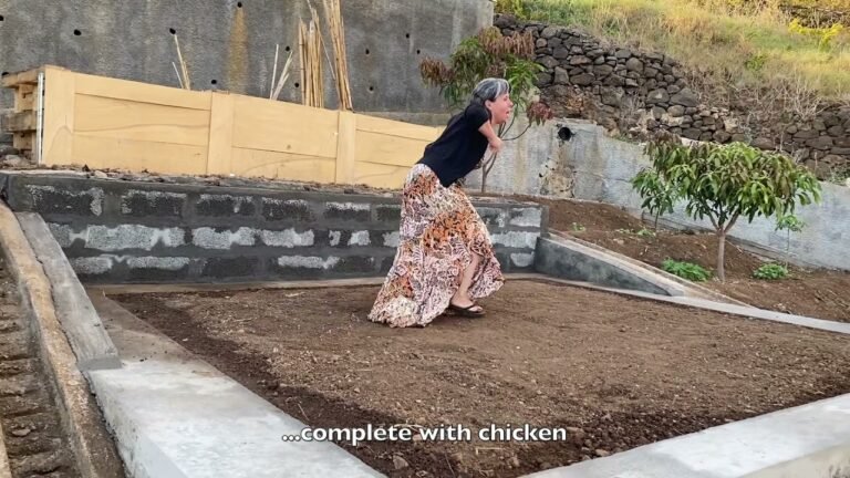 #20 House & Garden Changes