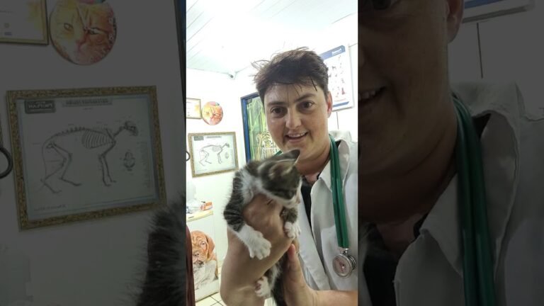 24 de novembro de 2021