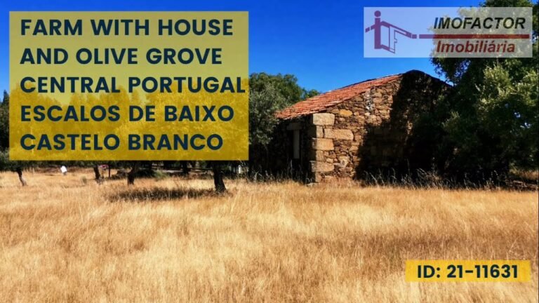 🔆 3,5 ha FARM for Sale / HOUSE & Olive Grove / Central Portugal | €35000