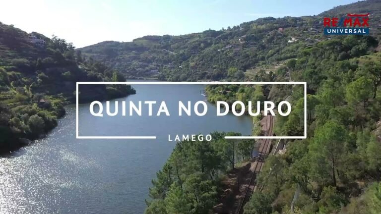 Amazing Farm FOR SALE in Portugal | 7 ha | Douro River Views | Cherry, Olives, Vineyard, Wine house Amazing Farm FOR SALE in Portugal | 7 ha | Douro River Views | Cherry, Olives, Vineyard, Wine house