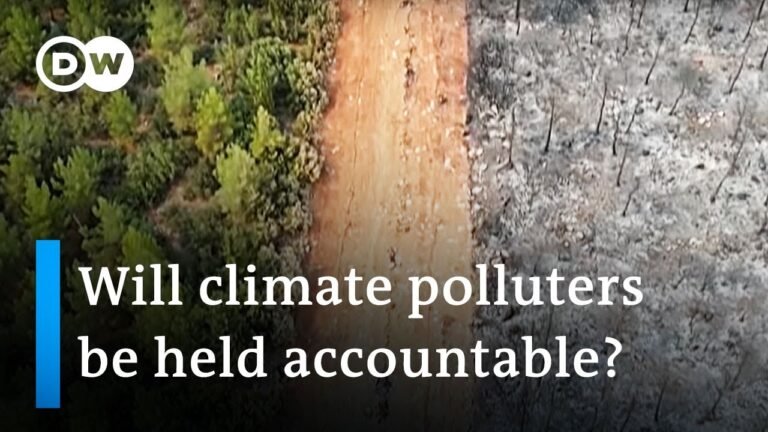 Climate crisis: Can the courts save our planet? | Focus on Europe Climate crisis: Can the courts save our planet? | Focus on Europe