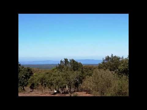 Comporta Portugal Land for Sale – 16ha Sea View