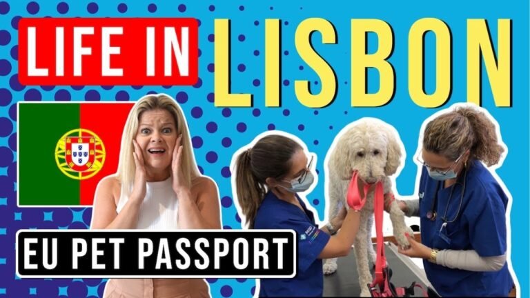 EU PET PASSPORT: How We Got Our Dog A Pet Passport In Portugal (2021)