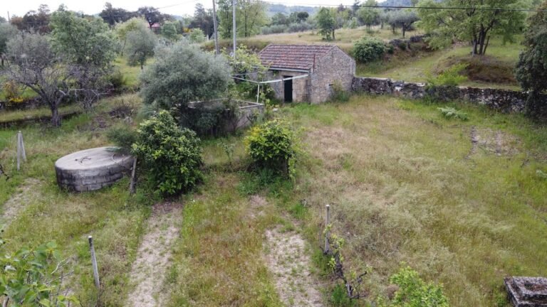 Farmland for sale in central south of Portugal / € 41.500 / centralportugalnatural@gmail.com