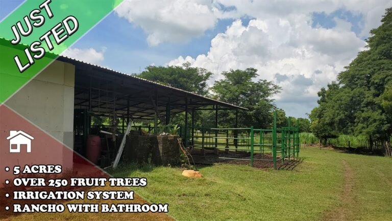 JUST LISTED! FARM NEAR LEON $79,000 – NICARAGUA REAL ESTATE