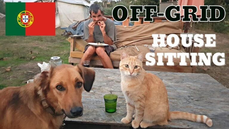 Off-Grid Life in Central Portugal | House Sitting on a Quinta