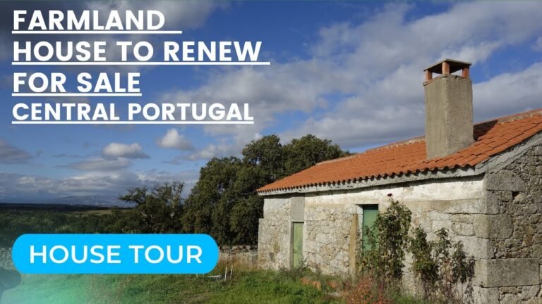 Portuguese Farmland with a 81 sqm house for sale 2.375 ha (5.93 acres) | €48.500