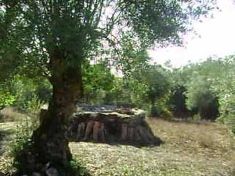 Property for sale Portugal