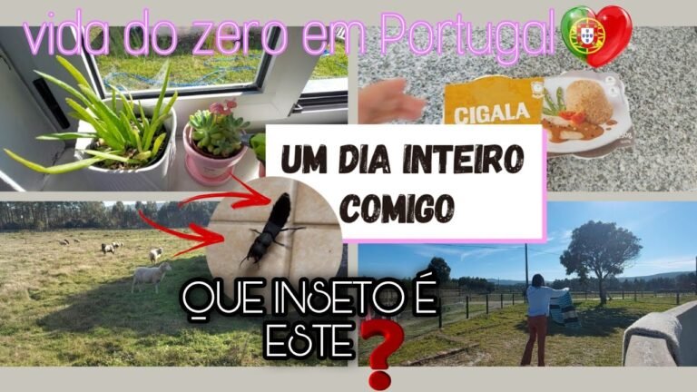 ROTINA TRANQUILA | ORGANIZANDO A CASA | HELENA INCERROU O VÍDEO 🎬📽🤣