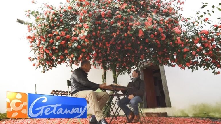 The most charming village in Portugal | Getaway