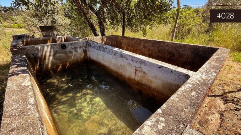 Turning a Concrete Water Tank into a Temporary PLUNGE POOL for Summer – Portugal Property Renovation