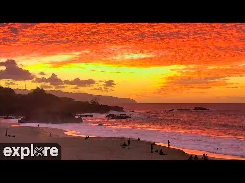 Waimea Bay Cam powered by EXPLORE.org