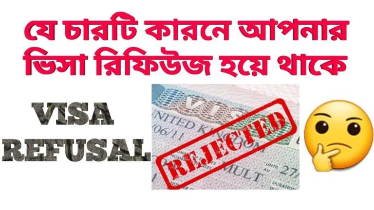 visa refusal 4 reason