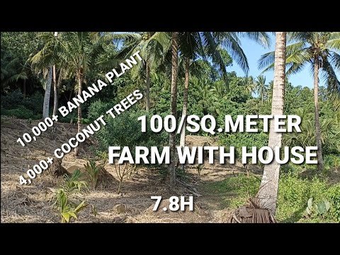 #390 #FARM WITH HOUSE