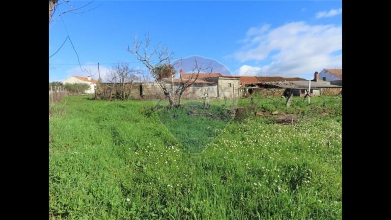 8.A tour of our land in Portugal. where does it end?