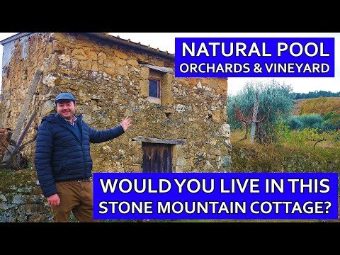 BARGAIN PORTUGUESE MOUNTAIN COTTAGE FOR SALE – CHERRY, FIG, OLIVE – STONE FRUIT FARM HOUSE HOMESTEAD