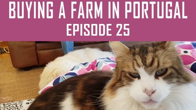 Buying a Farm in Portugal – Episode 25 – We Bought a Farm!!!