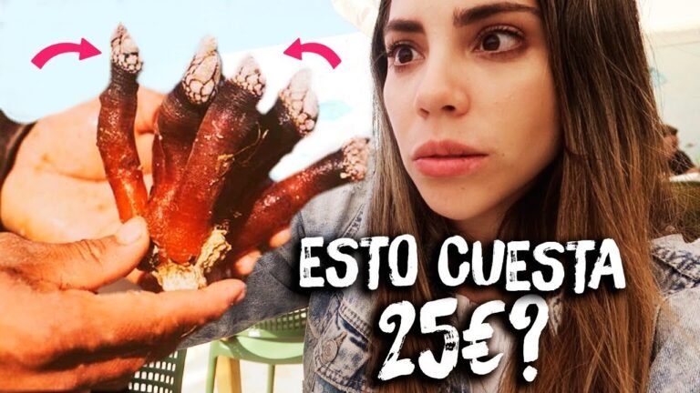 COMER EL PIPÍ DE ESTE ANIMAL CUESTA 25 EUROS!? – PORTUGAL | Katy Travels