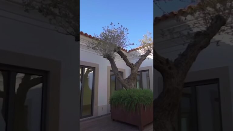 Dream Mansion Tour In Portugal 💵 $10 Million Dollars Luxury Real Estate #shorts Dream Mansion Tour In Portugal 💵 $10 Million Dollars Luxury Real Estate #shorts