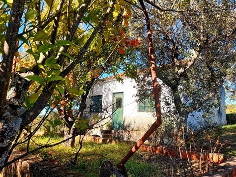 Farm 12880m2 – São Vicente da Beira – Portugal – ref. LNG 25-11 – PRICE: 25.000 Euros