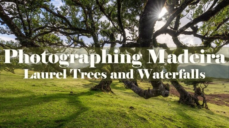 Gnarly Trees and Waterfalls – Photographing Madeira