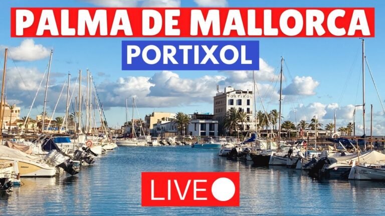 🔴 LIVE: Why this area of Palma de Mallorca is the BEST for a winter break