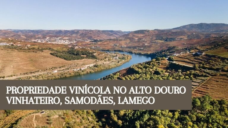 LS04302 Propriedade Vinícola no Alto Douro Vinhateiro, Samodães, Lamego LS04302 Propriedade Vinícola no Alto Douro Vinhateiro, Samodães, Lamego