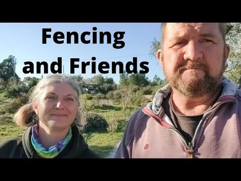 No 18, Fencing and Friends