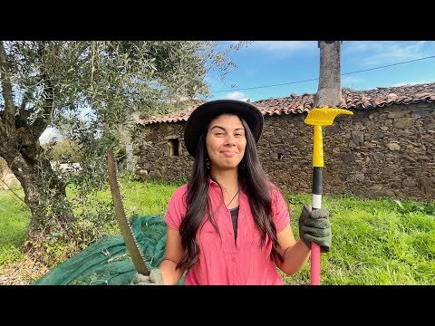 Our FIRST FARM LIFE ATTEMPT / Olive Harvesting in Portugal