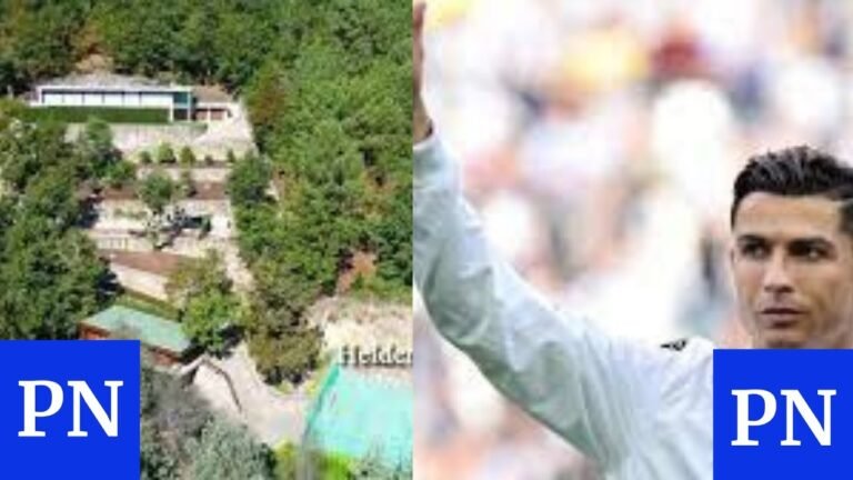 Ronaldo hailed after donating rubble from his Portugal mansion to needy families
