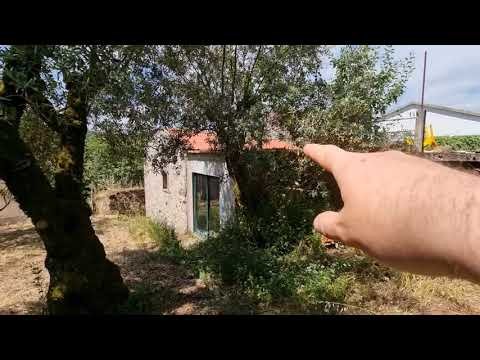 STRIMMING LAND in PORTUGAL, my FIRST STIHL.