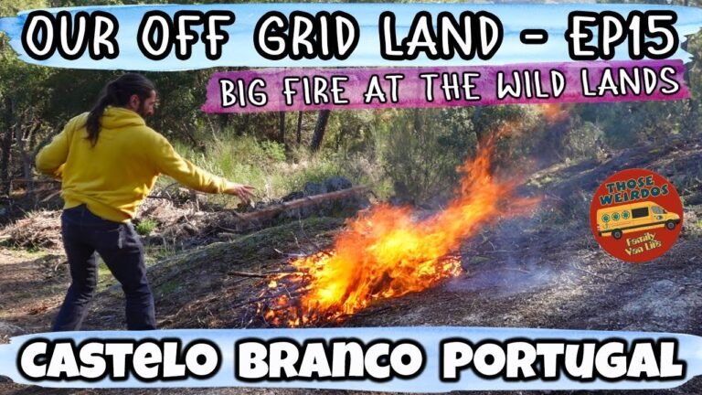 We Had A BIG Fire on Our Off Grid Land – Homesteading Permaculture Portugal