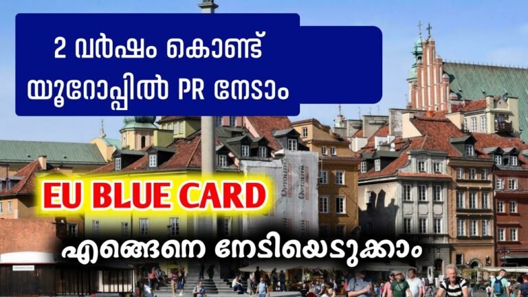 യൂറോപ്പിലെ 25 രാജ്യങ്ങളിലും ജോലി ചെയ്യാൻ പറ്റിയ work permit| eu blue card Malayalam | job in Europe