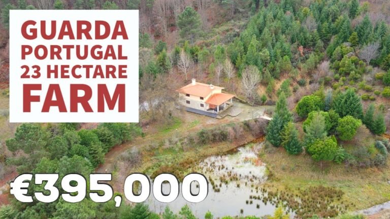 23 Hectare Farm For Sale | Guarda, Central Portugal | Virtual Property Tour ❤🌞