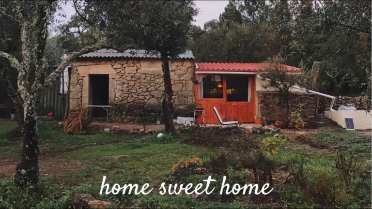 Back to our tiny home in Portugal – not the journey we had planned. Travelling during the pandemic.