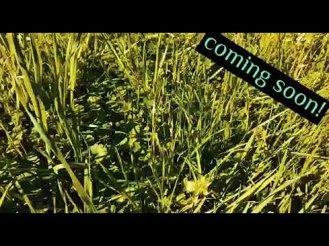 Coming Soon!