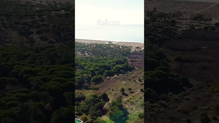 Drone view of a plot near the beach #tiktok #tiktokvideo #shorts #short #shortvideo