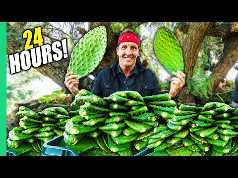 Eating ONLY CACTUS for 24 Hours in MEXICO!! (I Almost Died!!)