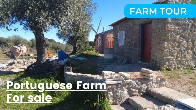 Farm for sale | Central Portugal | 5600 sqm (m2) of land | €45.000,00