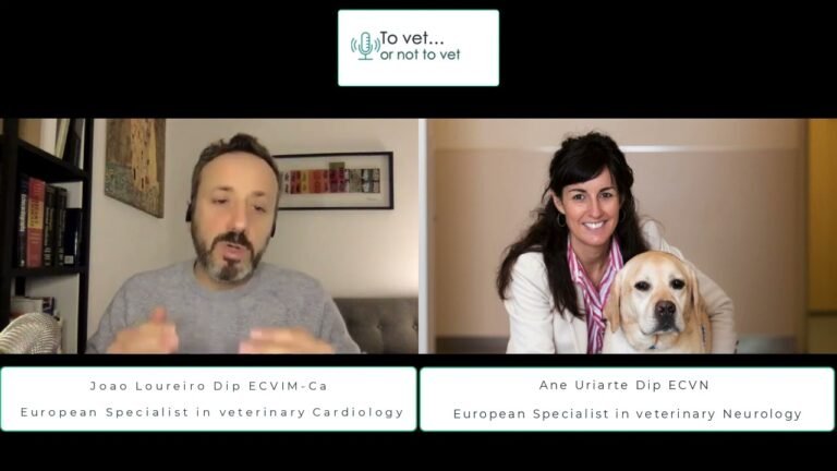 How to progress as a veterinarian?; How to keep learning and progressing at your own pace?