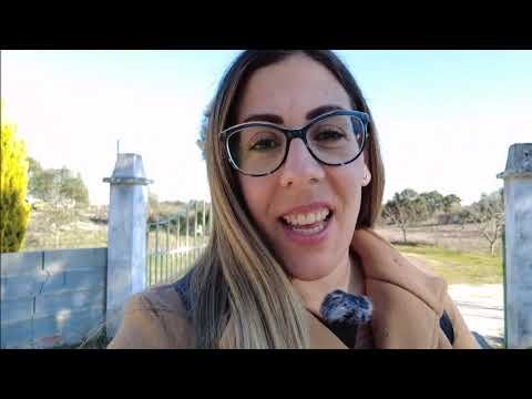 Land with 8.5ha for sale in Central Portugal | Quinta com 8.5ha para venda | € 130.000,00