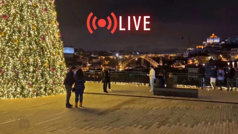 PORTUGAL AO VIVO | ROLÊ DE NOITE NO PORTO